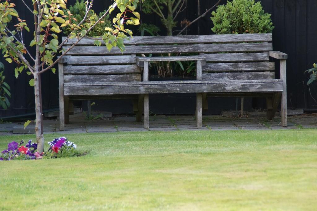 Olive House Bed And Breakfast Christchurch Exterior foto